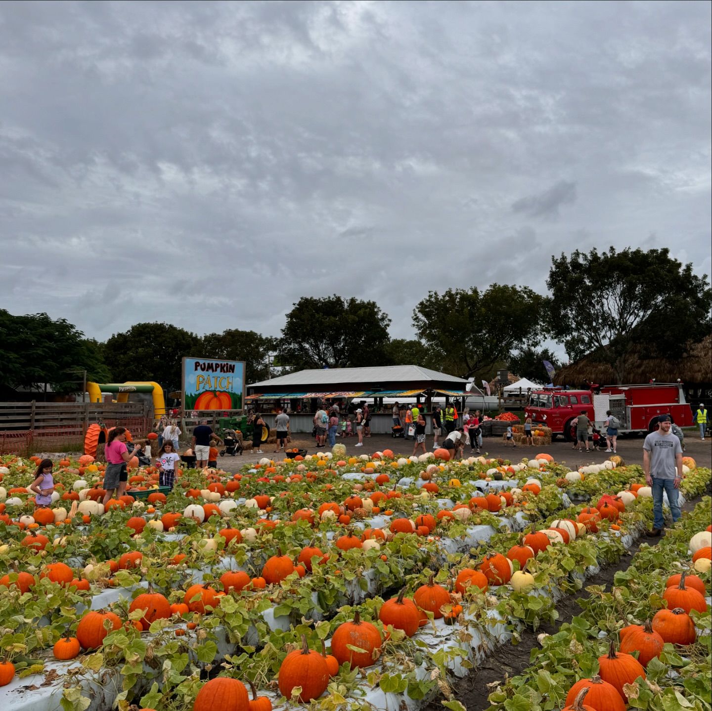 There’s A Fall Festival Every Day At Bedner’s In Boynton Beach