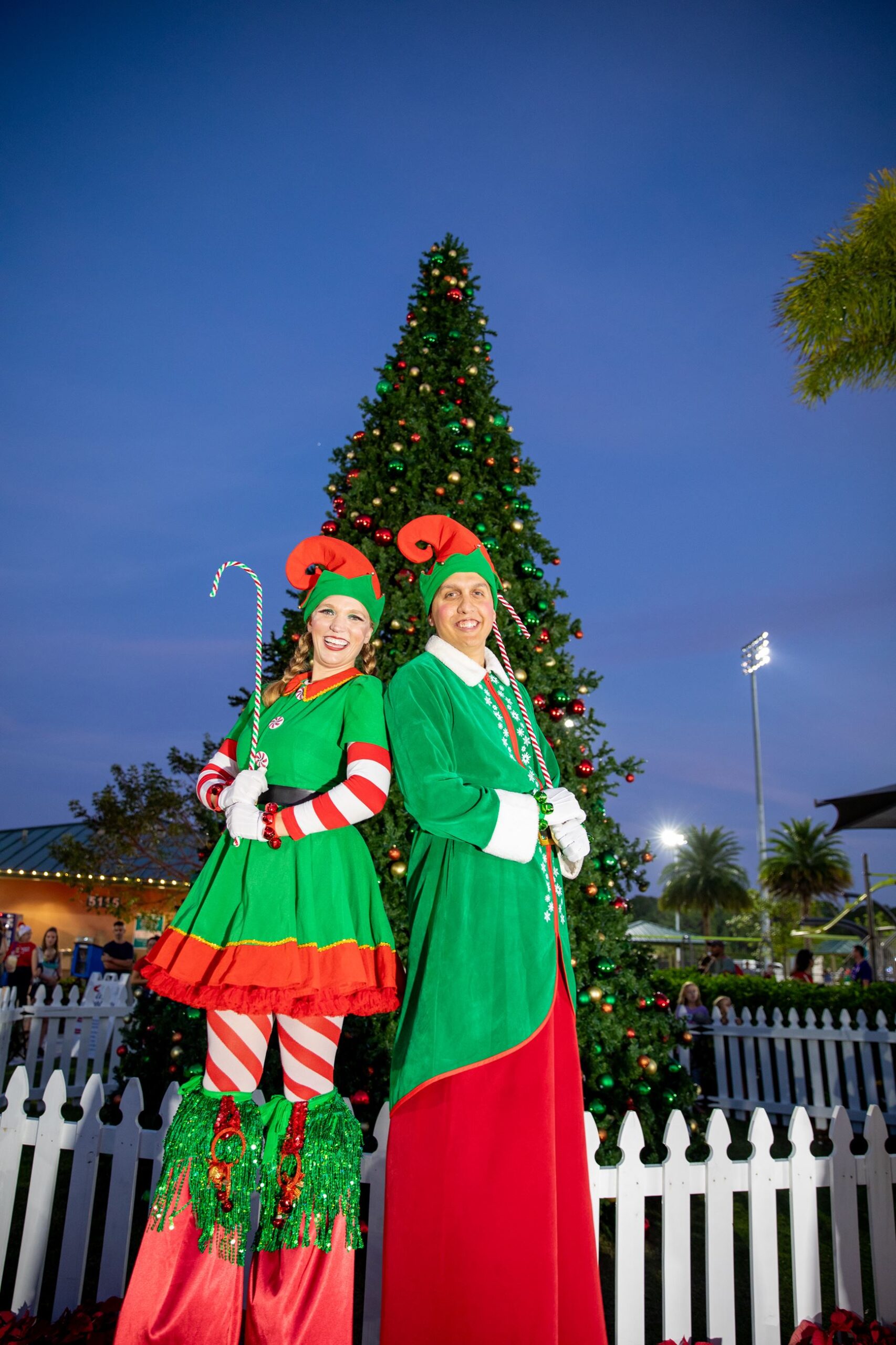 The Must Do Holiday Tree Lighting Ceremonies In Palm Beach County 2024