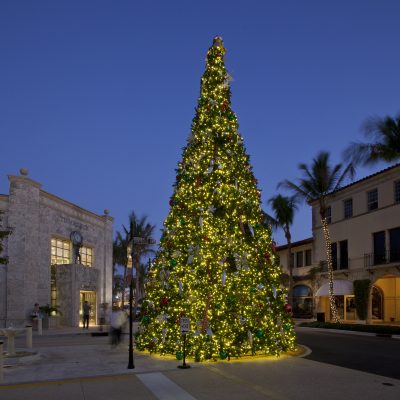 Everything To Know About The Worth Avenue Tree Lighting 2024 In Palm Beach