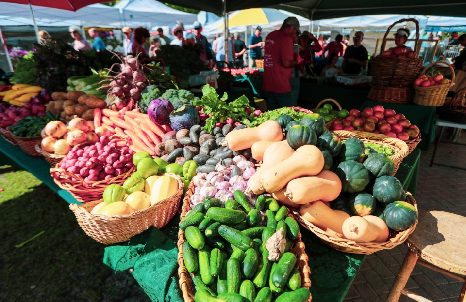 Must Do Farmer’s Markets In Palm Beach County